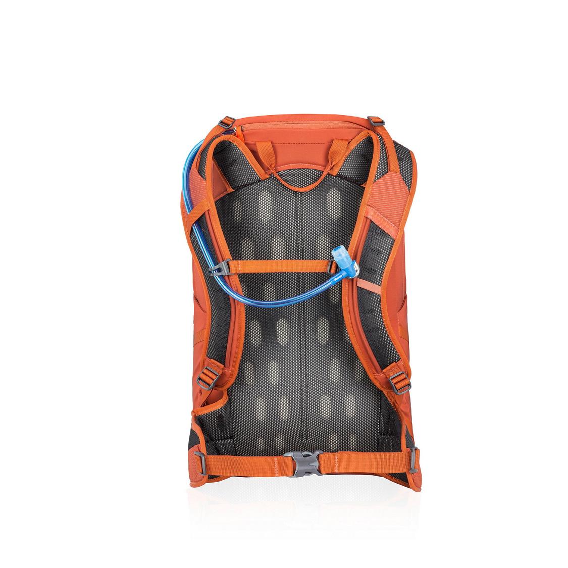 Men Gregory Inertia 30 H2O Hiking Backpack Orange Sale Usa ZYEX05719